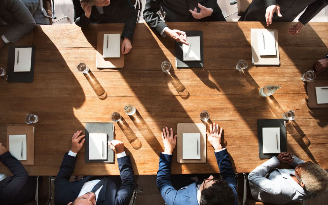 Governing Boards as Institutional Umbrellas: A Framework for Strategic Governance Amid Legislative Challenges